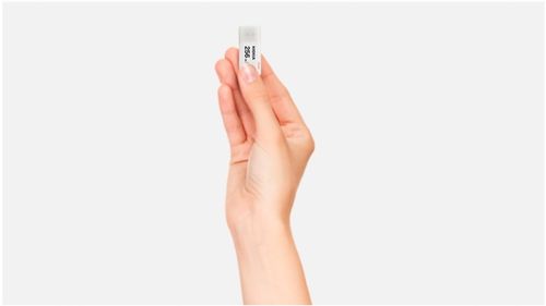 Pendrive KIOXIA 256GB USB 3.2 Hayabusa U301 WHITE na Arena.pl