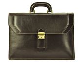 Teczka męska PIERRE CARDIN 1205 RM02 Ciemny brąz