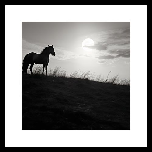 Plakat 30x30cm Księżycowa Straż na Arena.pl