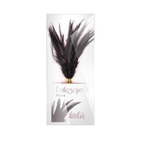 piórko  ticler burlesque plume black na Arena.pl
