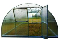 Emaga Szklarnia Primus 4x20m 80m2 H=230cm poliwęglan 4mm