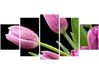 70CM 150CM OBRAZ 5 ELEM FIOLETOWE TULIPANY ŚCIENNY