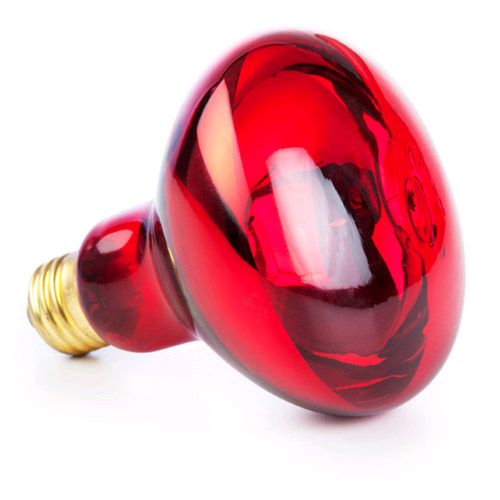 Lampa na podczerwień Infra 100 W na Arena.pl