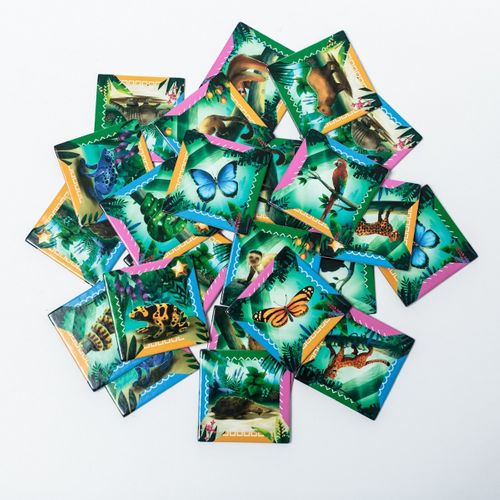 Gra Odkrywcy: Amazonia na Arena.pl