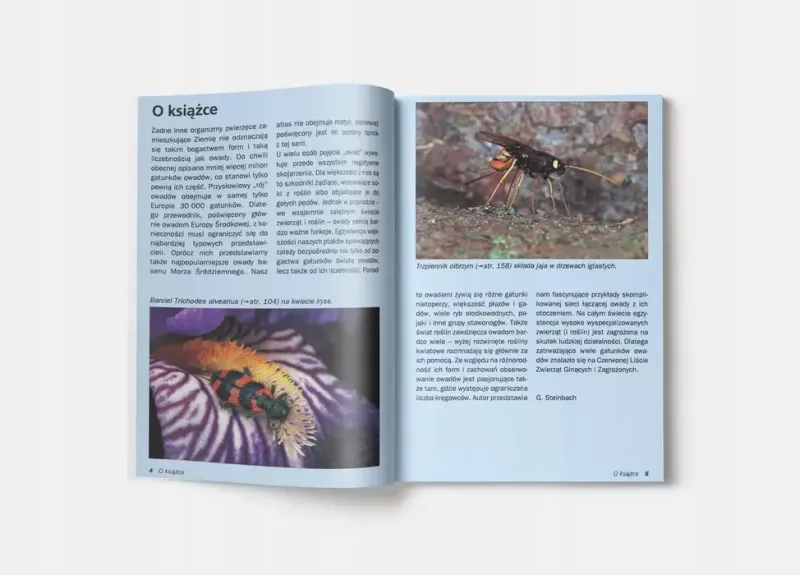 Atlas owadów zdjęcie 3
