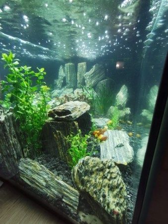 LAWA LAWA WULKANICZNA 2-8 mm 25 kg ŻWIREK AKWARIUM NA DNO na Arena.pl