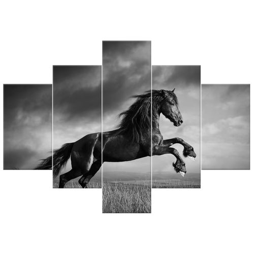 Fotoobraz 100X70 Koń na Arena.pl