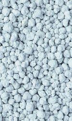 certech-super benek shaggy 5l na Arena.pl