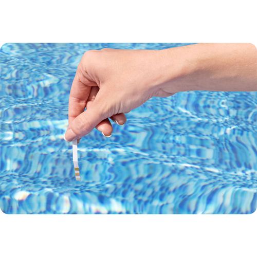 Generator chloru do basenów ogrodowych 6g/h Bestway 58678 na Arena.pl