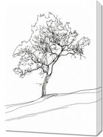 Obraz 50x70cm Drzewo w Zarysie