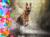 Puzzle tradycyjne Zwierzęta - Pies