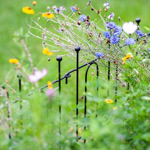 OGRODOWY PŁOT METALOWA PODPORA DO ROŚLIN PODPORY DO KWIATÓW CZARNY na Arena.pl