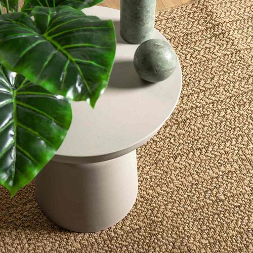 Dywan ZIZUR Brązowy PP na Arena.pl