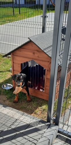 BUDA DLA PSA XL OCIEPLANA + GRATISY na Arena.pl