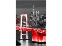 40X60CM TOKYO MOST TĘCZOWY CZERWIENI OBRAZ DRUK