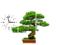 100CM 70CM ZEGAR 3 ELEM BONSAI ŚCIENNY OBRAZ