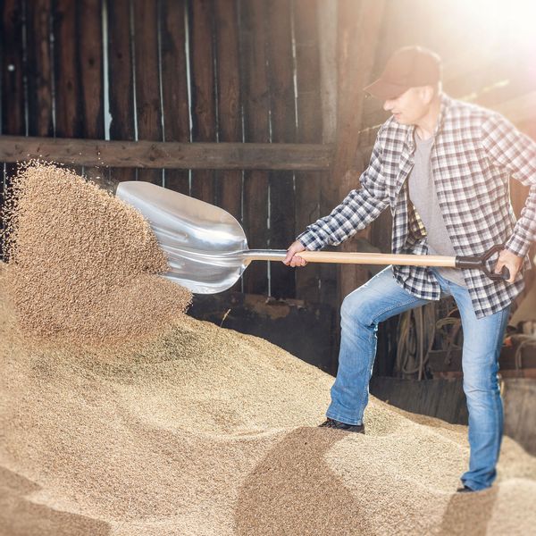 Łopata Do Ziarna Piasku Popiołu Aluminiowa Szufla zdjęcie 2