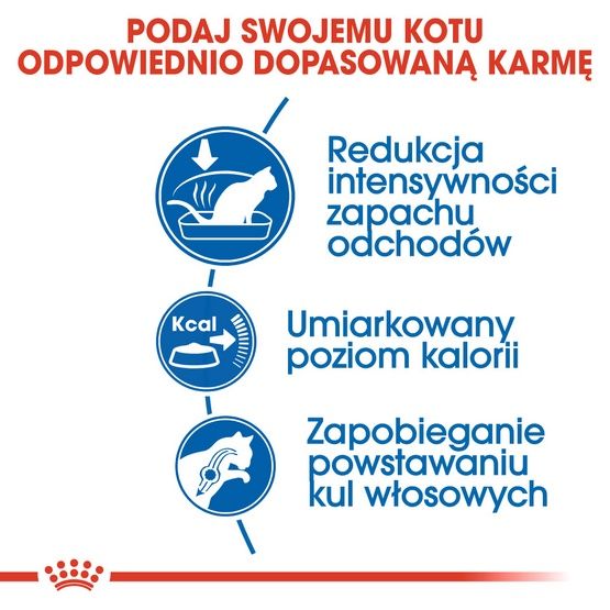 Karma dla kotów dorosłych, przebywających wyłącznie w domu Royal Canin 2kg zdjęcie 5