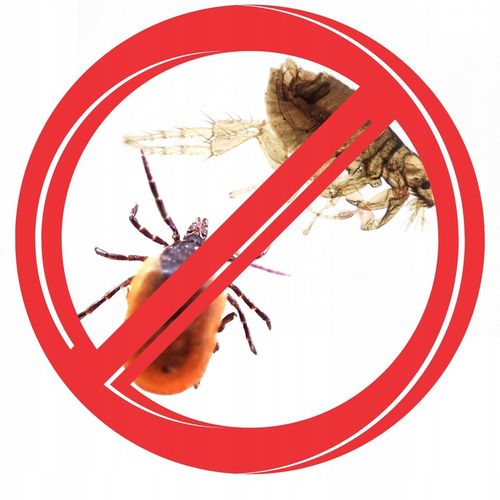 KROPLE na PCHŁY i KLESZCZE dla PSA I KOTA 2ml x 12 na Arena.pl