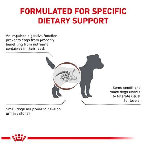 Royal Canin Veterinary Diet Canine Gastrointestinal Low Fat Small 1,5Kg na Arena.pl