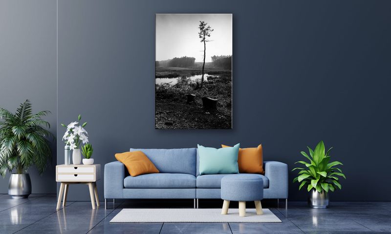 OBRAZ NA PŁÓTNIE 093 Sosna 30x40cm zdjęcie 4