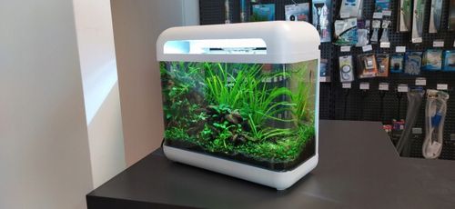 INVITAL EasyTank CASCADE LED 7 litrów biały na Arena.pl