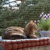 Siatka dla kota ochronna wzmocniona zwierzę balkon
