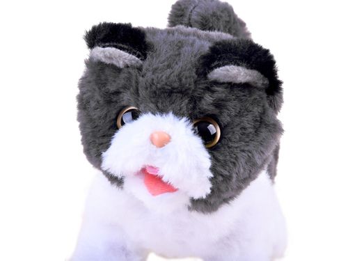 KOTEK PSOTEK INTERAKTYWNY SZUKA MAMY na Arena.pl