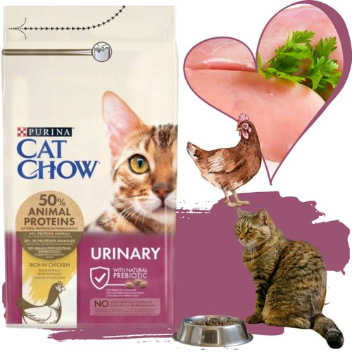 sucha karma dla kota cat chow kurczak z prebiotykiem 15 kg + 1.5 kg gratis na Arena.pl