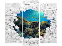 OBRAZ MORSKA NATURA WODA