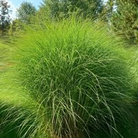 product-compare-60641678