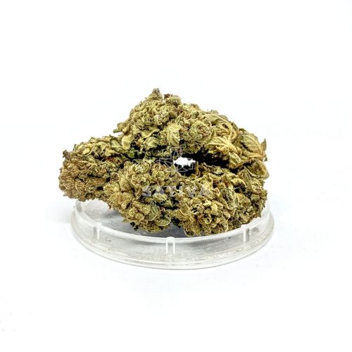 CBD Kwiaty Konopi "OG KUSH" 3 g na Arena.pl