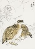 Plakat 20,5x28,4cm Quail, Kashu Japoński Vintage do Salonu