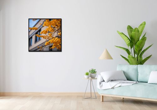 Plakat 70x70cm Złote Jagody na Arena.pl