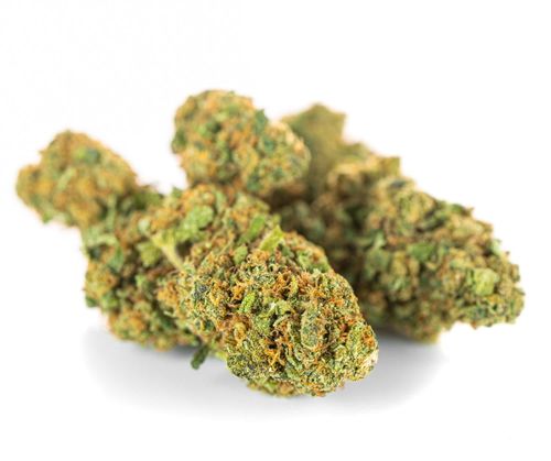 CBD SUSZ KONOPNY GORILLA GOLD PREMIUM PRODUKT NATURALNY 1 g na Arena.pl