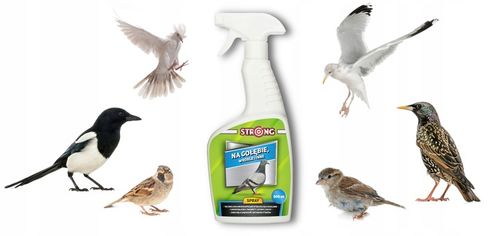 ZESTAW DO ODSTRASZANIA PTAKÓW GOŁĘBIE WRÓBLE MEWY na Arena.pl