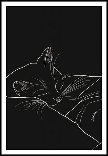 Plakat 61x91,5cm Nocny Spokój na Arena.pl