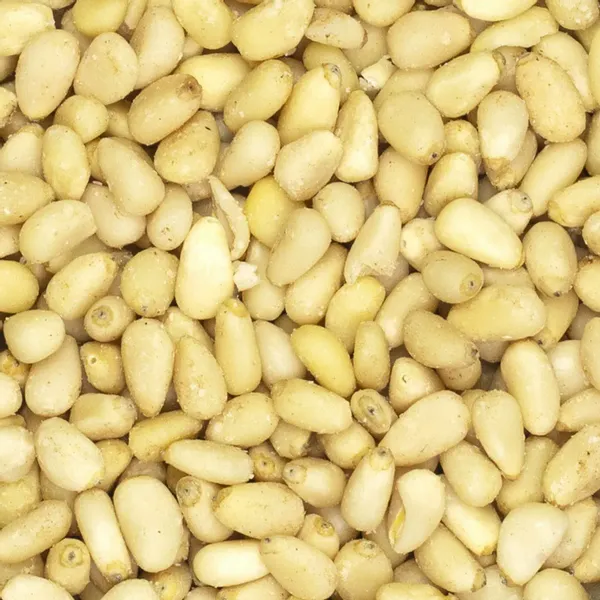 Orzechy pinii 500g zdjęcie 3