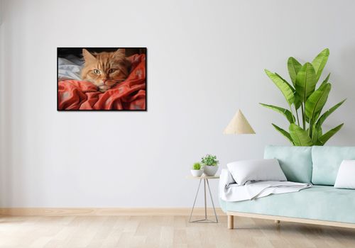 Plakat 84x59,5cm Mruczący Spokój na Arena.pl