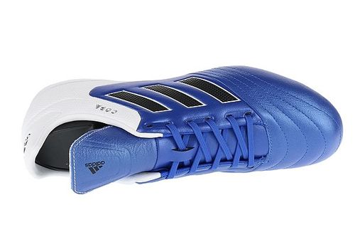 adidas COPA 17.3 FG (BA9717) na Arena.pl