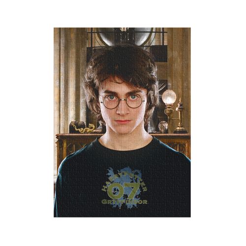puzzle hard-m harry potter  200576 na Arena.pl