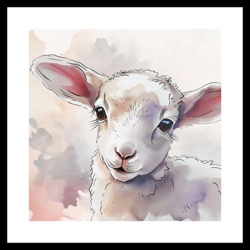 Plakat 40x40cm Mała Owieczka na Arena.pl