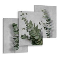 Obrazy Do Salonu Liście EUKALIPTUSA Gałązki Rośliny Beton 90cm x 40cm