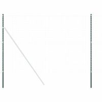 Słupki ogrodzeniowe 2 pcs Zielony 210 cm