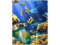 40X50CM RAFA KORALOWA OBRAZ