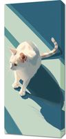 Obraz 40x90cm Kocia Persona