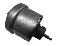 Corteco 80001349 Łożyskowanie silnika