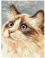 MALOWANIE PO NR.30X40 KOT 0876