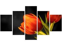 75CM 120 OBRAZ 5 ELEM TULIPANY ŚCIENNY DRUK