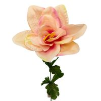 Amarylis pojedynczy różowy